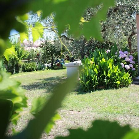 Villa Di Campagna Vicino Al Mare Orosei Bagian luar foto