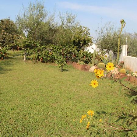 Villa Di Campagna Vicino Al Mare Orosei Bagian luar foto