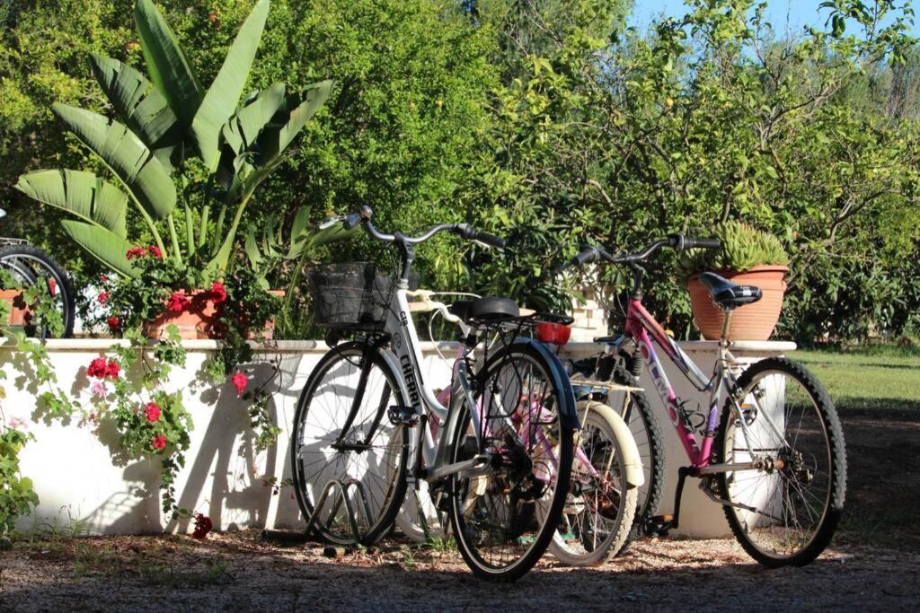 Villa Di Campagna Vicino Al Mare Orosei Bagian luar foto