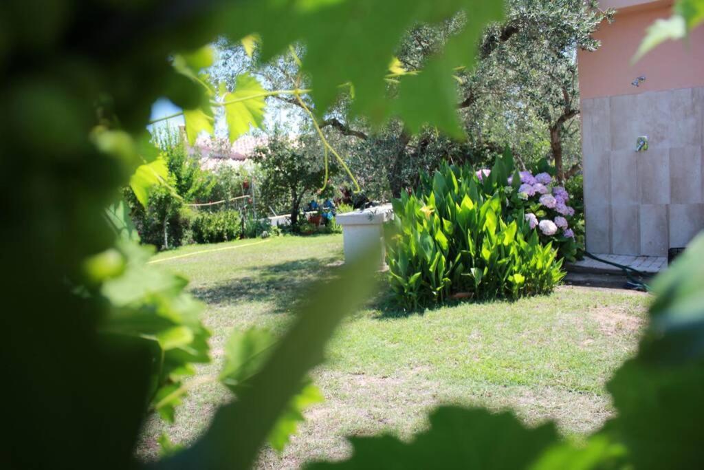 Villa Di Campagna Vicino Al Mare Orosei Bagian luar foto