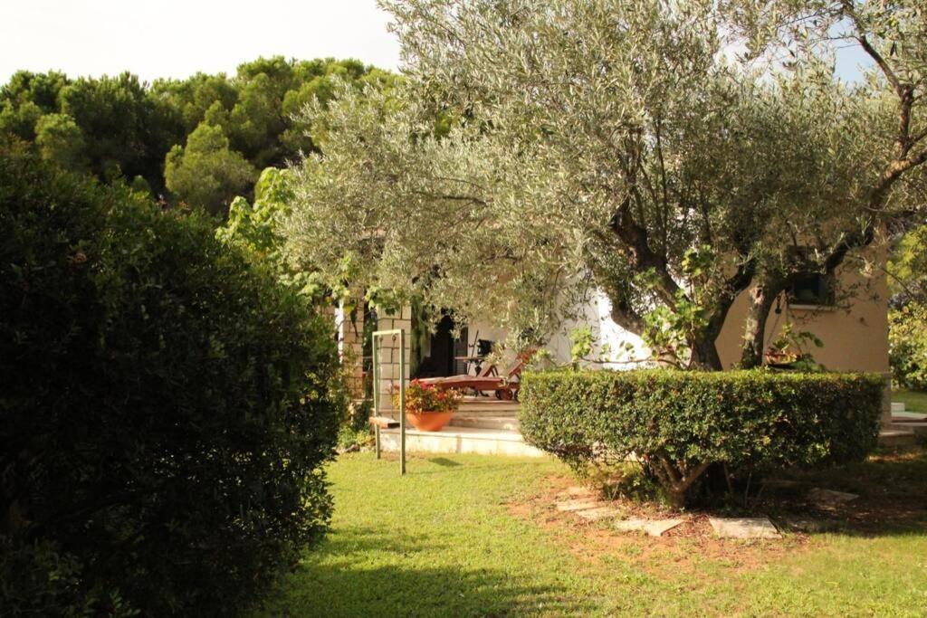 Villa Di Campagna Vicino Al Mare Orosei Bagian luar foto