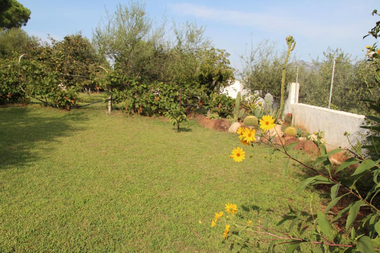 Villa Di Campagna Vicino Al Mare Orosei Bagian luar foto